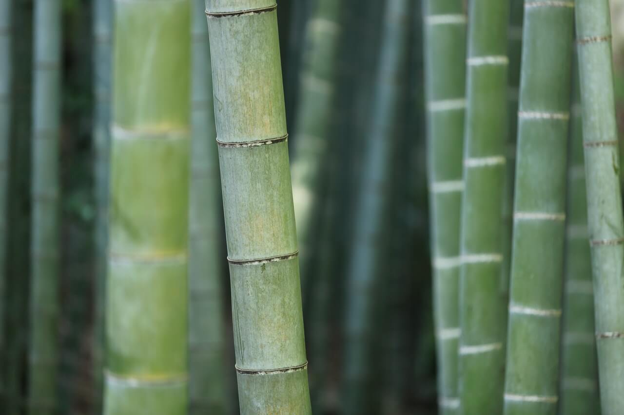 Promo Pricing for Our Sweat Proof Slim Fit Tees Is Ending – Here’s Why We Love Bamboo